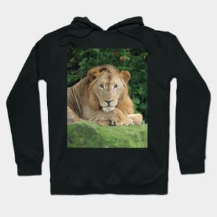 The Young King Hoodie